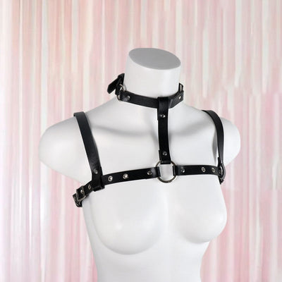 Delicate Domme Harness