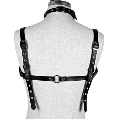 Delicate Domme Harness