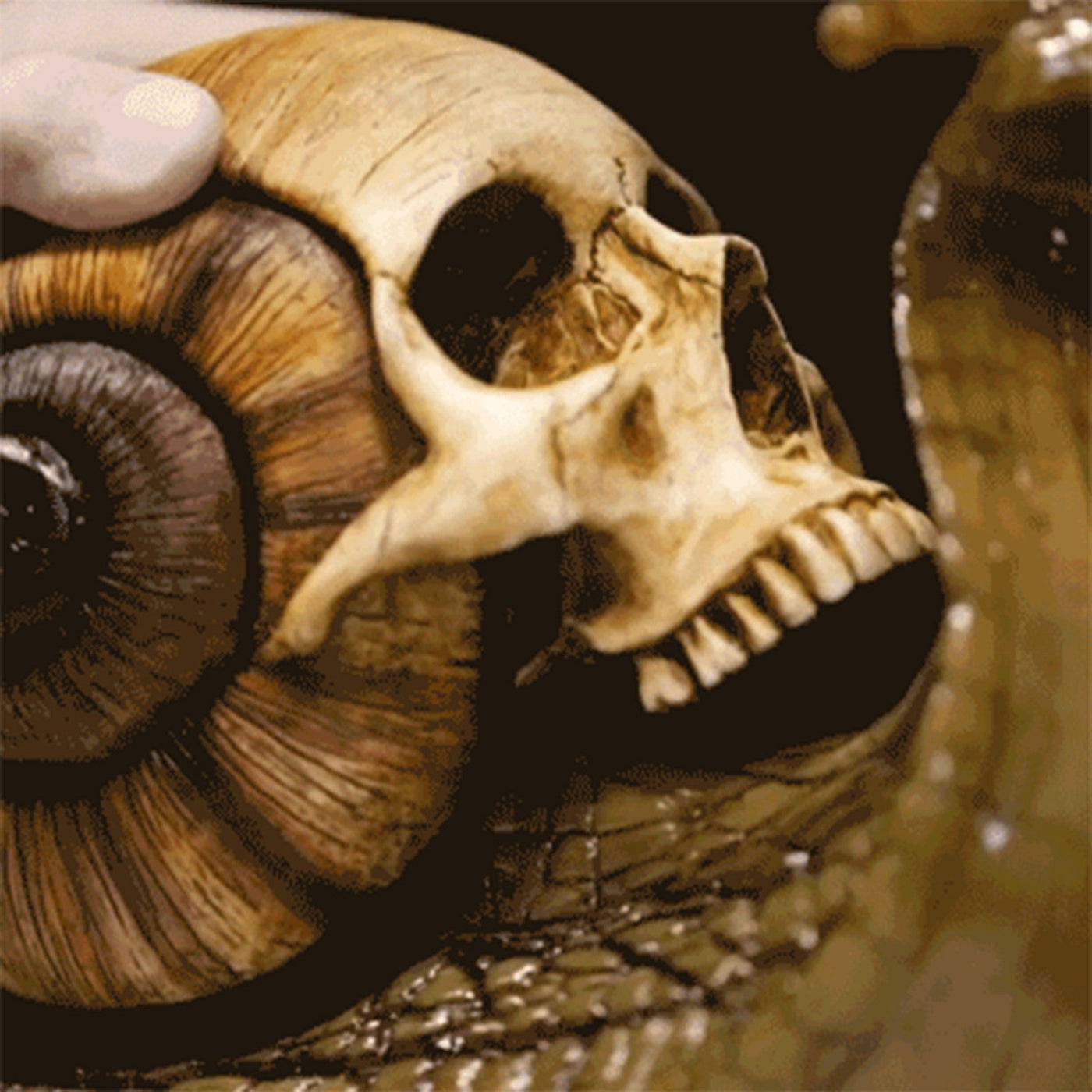 Snail & Skull Ornament